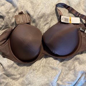Paramour NWT bra 40DD